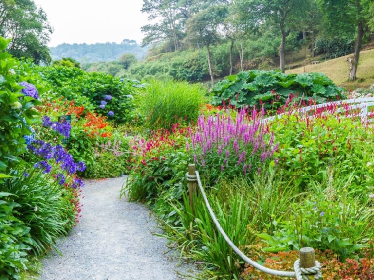 Trebah Gardens - Our Companionship Cafe - NODAC